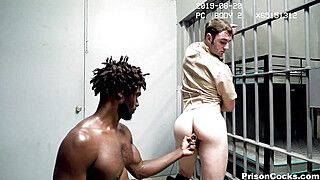 Contraband Cock Check - gayxo.com